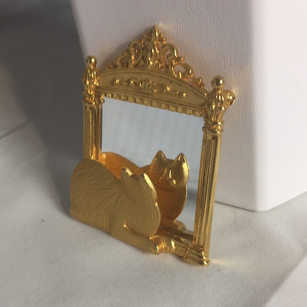 Jonette pin brooch cat looking at his reflection